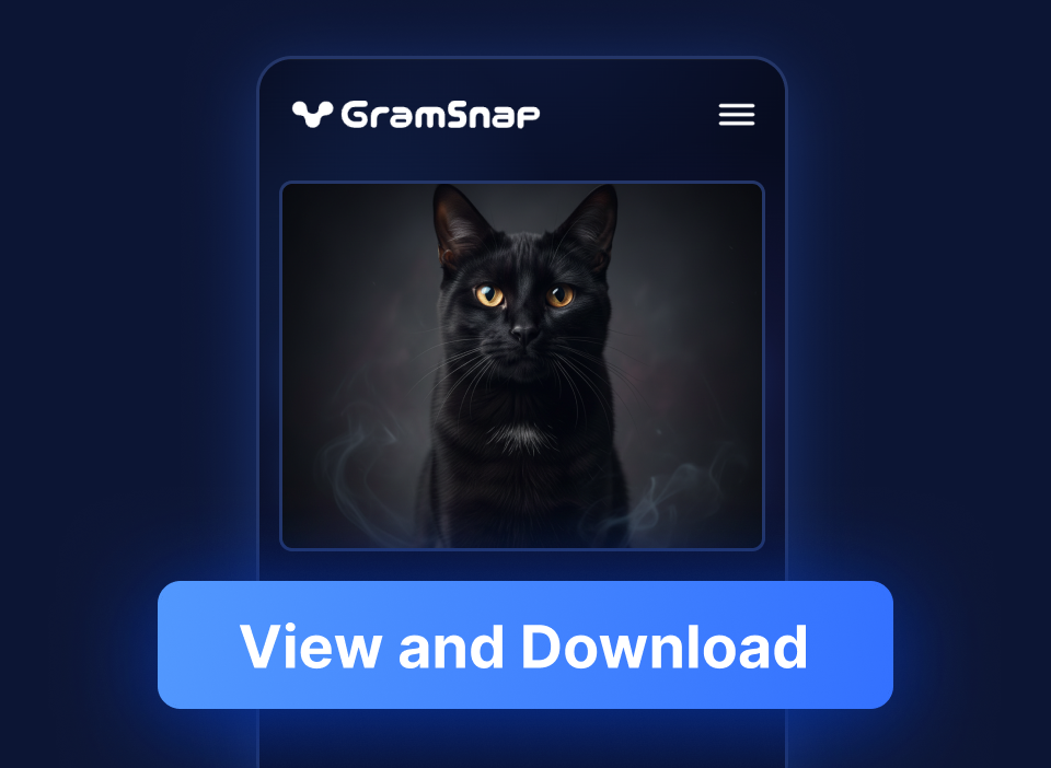 Watch & download anonymously